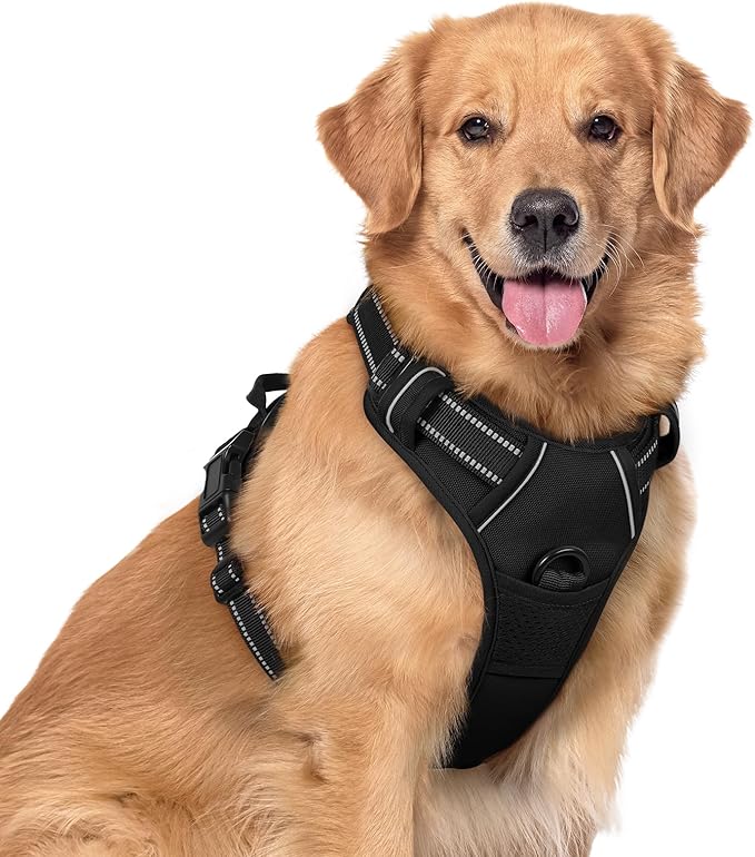 rabbitgoo Dog Harness No Pull with 2 Leash Clips, Adjustable Soft Padded, Reflective Oxford No Choke Pet Vest with Easy Control Handle for Large Dogs, Black, XL-Mewly Pet