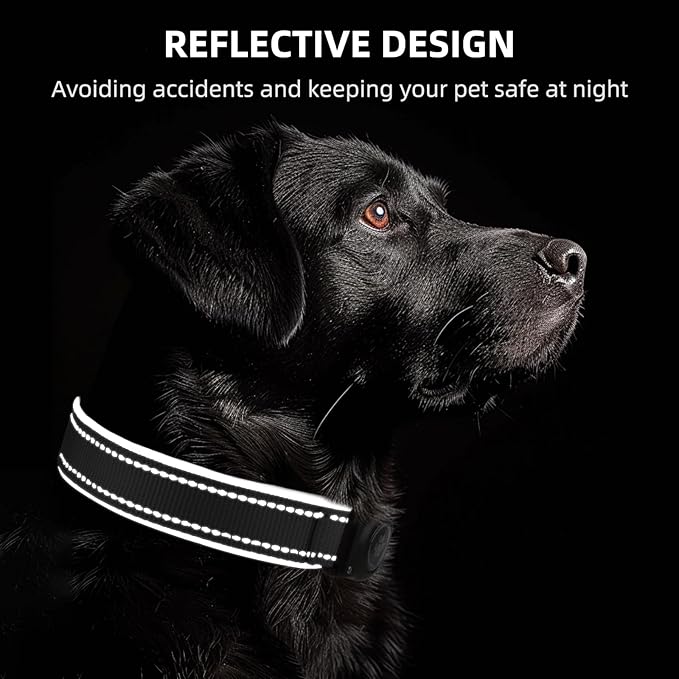 Airtag Dog Collar - 100% Waterproof Air tag Dog Collar Holder for Apple AirTag, Reflective, Soft Padded, Everlasting, GPS Dog Collar for Small Medium Large Dogs (Black, M)-Mewly Pet