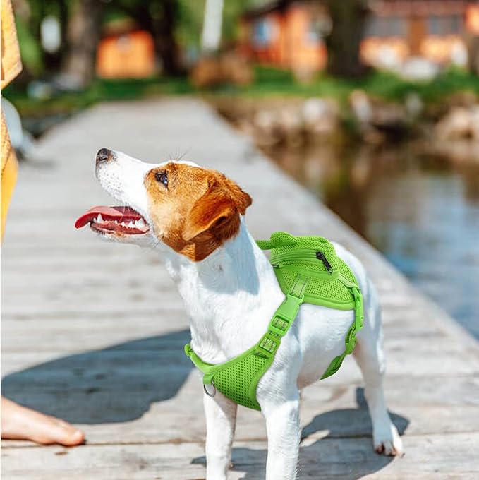 IDOMIK Dog Backpack Harness, No-Pull Dog Backpack with D-Ring for Small Medium Dogs, Cute Self Carrier Backpack for Dogs to Wear, Adjustable Dog Harness Backpack for Traveling Camping Hiking, Frog, S-Mewly Pet