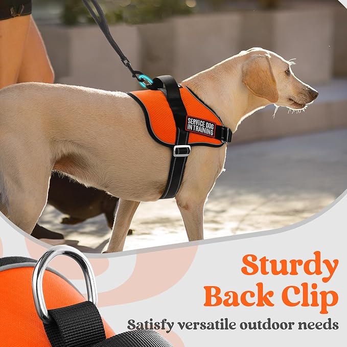 rabbitgoo Dog Harness for Large, Easy On Pet Vest with One Buckle, No Pull Adjustable Service Harness with D-Ring & Handle, Reflective for Safety Walking, Training, Orange, L-Mewly Pet