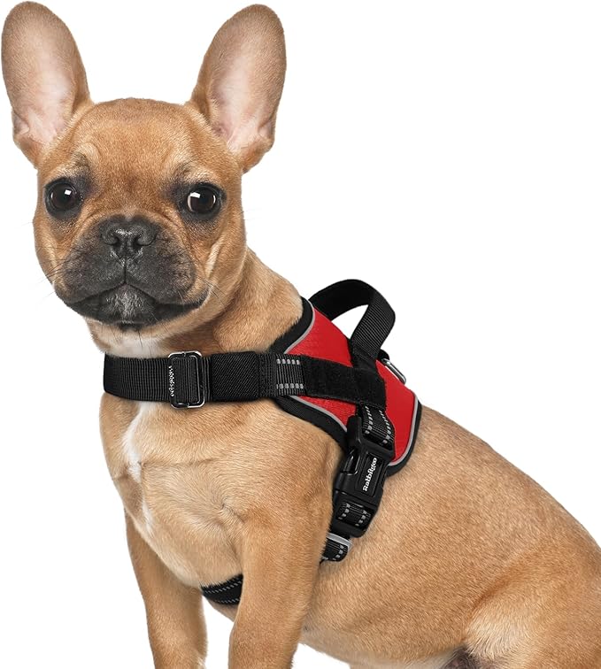rabbitgoo Dog Harness for Small, Easy On Pet Vest with One Buckle, No Pull Adjustable Service Harness with D-Ring & Handle, Reflective for Safety Walking, Training, Red, S-Mewly Pet