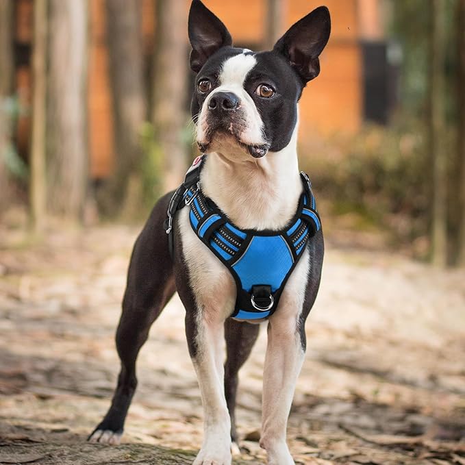 rabbitgoo Dog Harness Small Sized, No Pull Dog Vest with 3 Buckles, Adjustable Soft Padded Pet Harness with Easy Control Handle and Reflective Strips, Blue, S-Mewly Pet