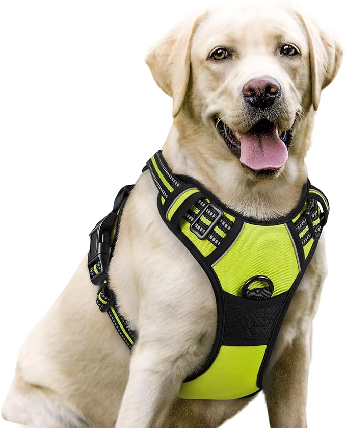 rabbitgoo Dog Harness No Pull with 2 Leash Clips, Adjustable Soft Padded, Reflective Oxford No Choke Pet Vest with Easy Control Handle for Large Dogs, Green, L-Mewly Pet