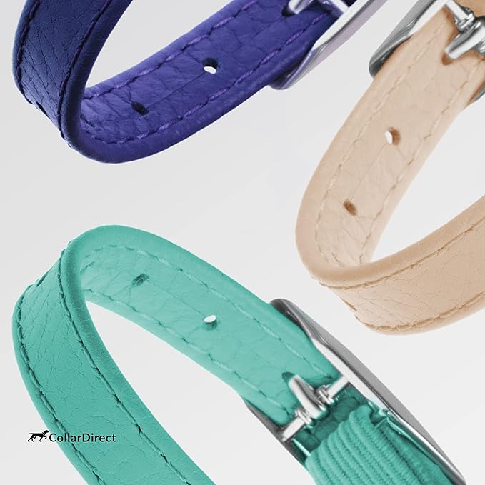 CollarDirect Leather Cat Collar, Kitten Collar with Removable Bell Black Blue Red Orange Lime Green (6-7 Inch, Beige)-Mewly Pet