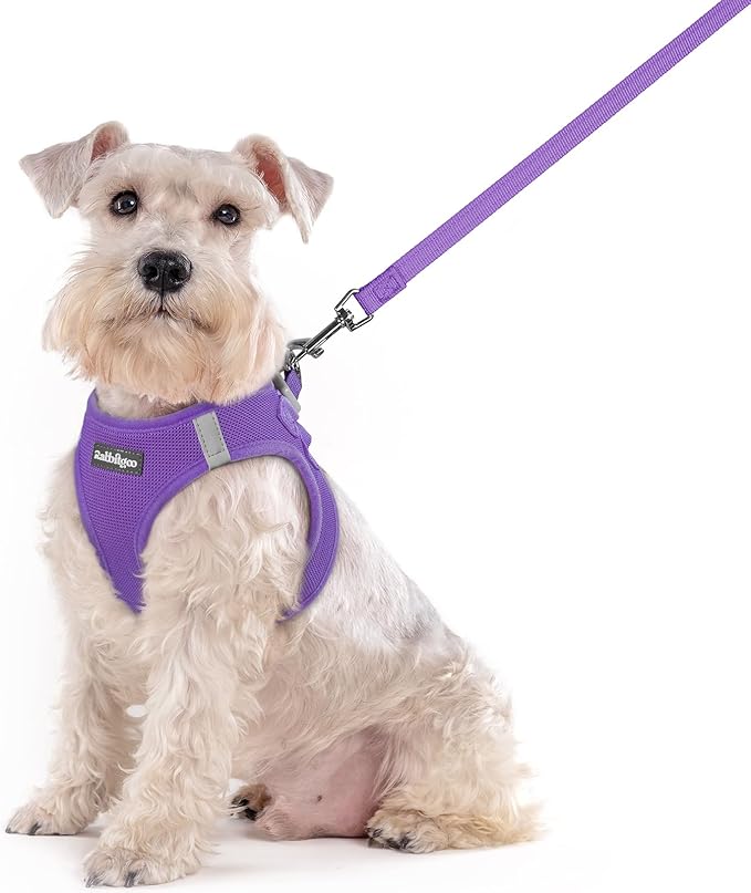 rabbitgoo Dog Harness Small Sized and Leash Set, Step in Soft Light Puppy Vest, Breathable Mesh Pet Harness, Reflective for Outdoor Safe Walking, Purple XXL-Mewly Pet