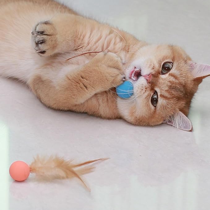 Cat Toys Balls with Feathers, 3 Pcs Interactive Cat Bouncy Balls for Indoor Cats and Playful Kittens, Rubber Kitten Ball Toys for Interactive Playing, Chase Training and Hunting Exercise-Mewly Pet