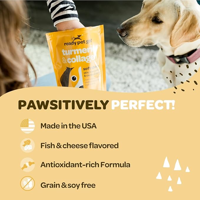 Turmeric for Dogs Soft Chews | Hip and Joint Chews for Dogs Comfort & Mobility with Collagen for Dogs | Dog Joint Supplement for All Ages Breeds & Sizes | NASC Certified & Made in The USA | 90 Chews-Mewly Pet