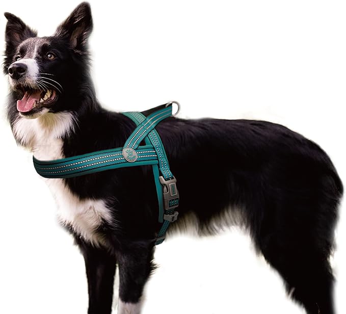 DOCO No-Pull Dog Harness Halter Reflective Easy-Control Harness for Training, Walking, and Preventing Pulling, Ideal for Medium Dogs(Turquoise)-Mewly Pet