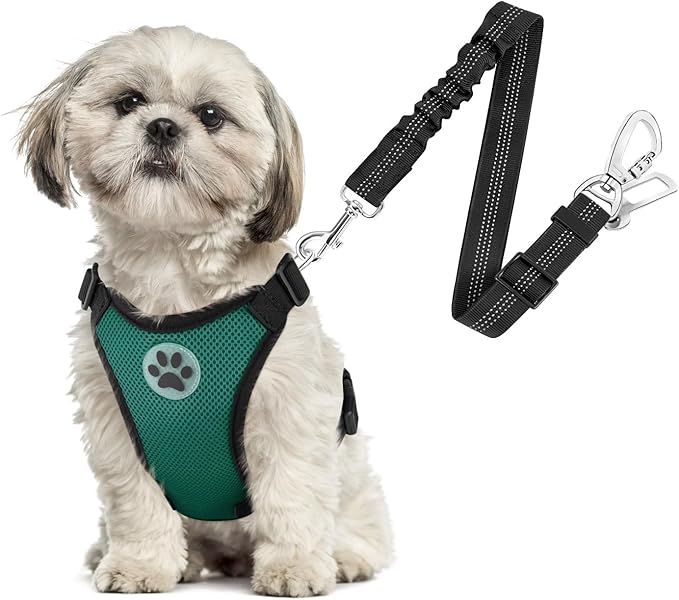 SlowTon Dog Seat Belt Harness for Car, Dog Car Harness Adjustable Mesh Breathable & Dog Seatbelt Safety Tether with Elastic Bungee for Small Medium Large Pets(Green, Double Clip, XS)-Mewly Pet