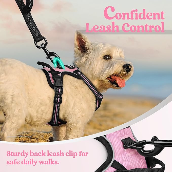 rabbitgoo Dog Harness No Pull with 2 Leash Clips, Adjustable Soft Padded, Reflective Oxford No Choke Pet Vest with Easy Control Handle for Puppy, Pink, XS-Mewly Pet