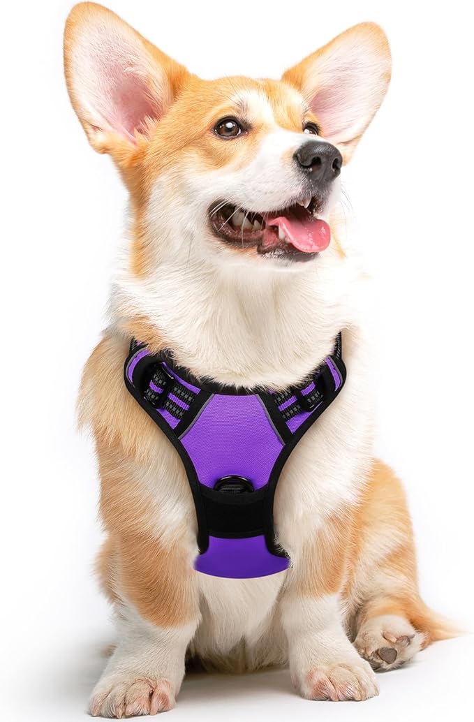 Eagloo Dog Harness Medium Sized Dog, No Pull Service Vest with Reflective Strips and Control Handle, Adjustable and Comfortable for Easy Walking, No Choke Pet Harness with 2 Metal Rings, Purple, M-Mewly Pet