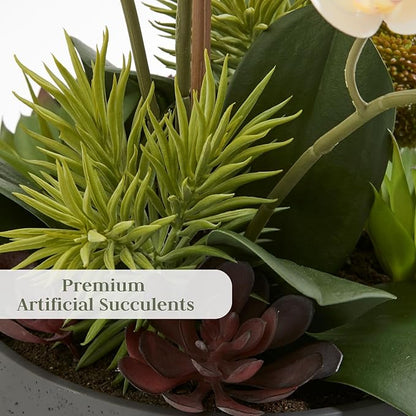 CG Hunter Faux Orchid Plant w/Succulents, Premium Artificial Indoor Flower Display Stands 24” w/Beautiful Sculptural Blooms and Succulents That Lasts Forever, Grey Planter Pot Included