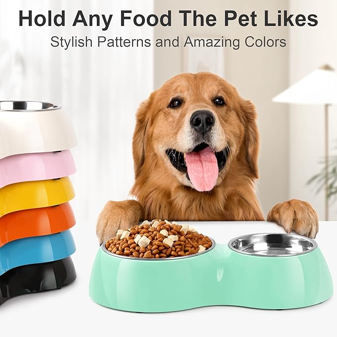 Elevated Dog Bowls Set - Non-Slip Raised Pet Feeder with Medium (2 Cups) & Large (4 Cups) Stainless Steel Bowls - Includes Durable Resin Stand for Puppies, Adult Dogs & Cats - Green-Mewly Pet