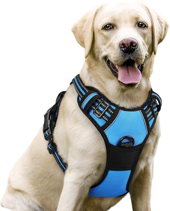 rabbitgoo Dog Harness No Pull with 2 Leash Clips, Adjustable Soft Padded, Reflective Oxford No Choke Pet Vest with Easy Control Handle for Large Dogs, Blue, L-Mewly Pet