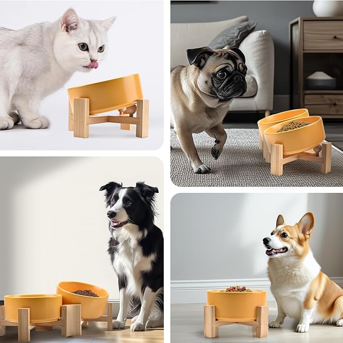 SPUNKYJUNKY 15° Slanted Ceramic Dog and Cat Bowl with Wooden Stand, Tilted Bulldog Food and Water Bowl No Slip Non-Spill for Cats Medium Dogs Big Face Pets 13.5 OZ (1.7 Cups, Yellow × 2)-Mewly Pet