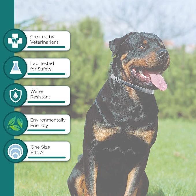 Natural Flea and Tick Collar for Puppies - Provides 24-Month Protection, Safe Pest Control - Waterproof and Strong - Includes Free Flea Comb and Tick Tweezer - 4-Pack-Mewly Pet