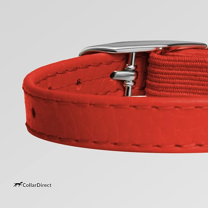 CollarDirect Leather Cat Collar, Cat Safety Collar with Elastic Strap, Kitten Collar with Bell Black Blue Red Orange Lime Green (6-7 Inch, Red)-Mewly Pet