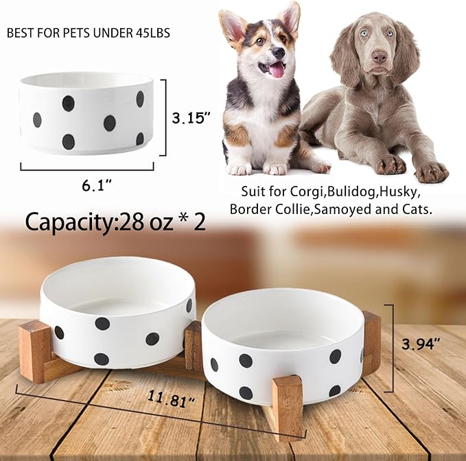 Petygooing Dog Bowls Ceramic, Cat Dog Bowl Set with Wood Stand for Food and Water,Non-Slip Cute Modern Pet Dishes for Cats Medium Size Dogs (28OZ/6.1 in) Black Dot-Mewly Pet