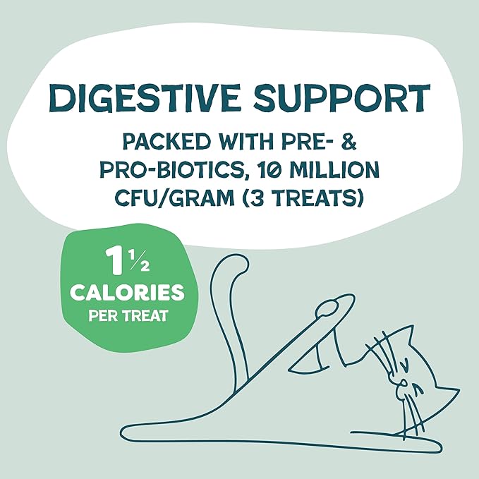 Shameless Pets Crunchy Cat Treats - Catnip Treats for Cats with Digestive Support, Kitten Treats with Real Chicken, Natural & Healthy Flavored Feline Snacks - Catnip N Chill, 1-Pk (12 Oz)-Mewly Pet