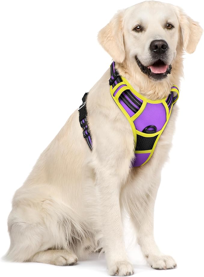 rabbitgoo Dog Harness No Pull with 2 Leash Clips, Adjustable Soft Padded, Reflective Oxford No Choke Pet Vest with Easy Control Handle for Large Dogs, Purple & Yellow, XL-Mewly Pet