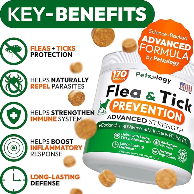 (2 Pack) Flea and Tick Prevention for Dogs Pills - 340 Chews - Natural Dog Flea & Tick Control - Oral Defense Treatment for Dogs Supplement - Vet Formulated - All Breeds & Ages - Made in USA-Mewly Pet