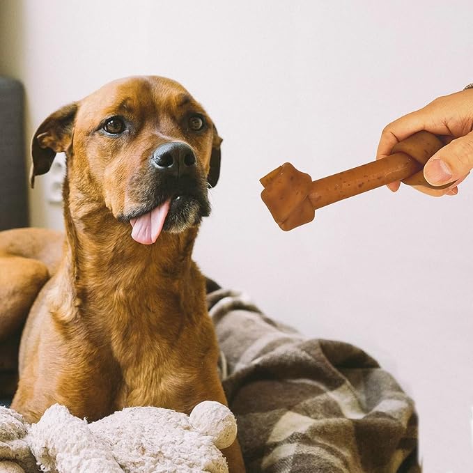 Jungle Calling Rawhide Free Dog Treats, Peanut Butter Bones, 6.5'' Pet Chews for Medium and Large Dogs,Digestible Chewing Snacks,4 Count (Pack of 1)-Mewly Pet