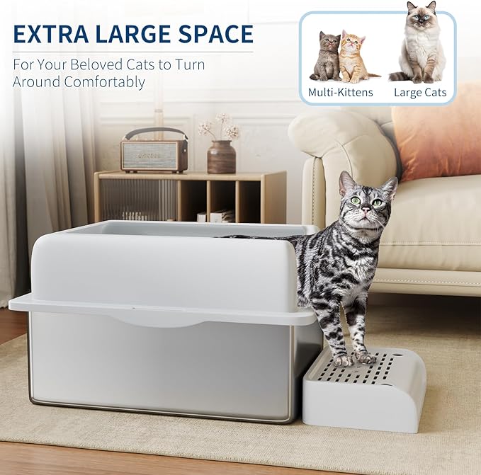 Stainless Steel Cat Litter Box 6 inch, XXL Large Cat Litter Tray with High Side, Platform Step and Scoop for Big Cats Multiple Cats, Easy Clean-Mewly Pet