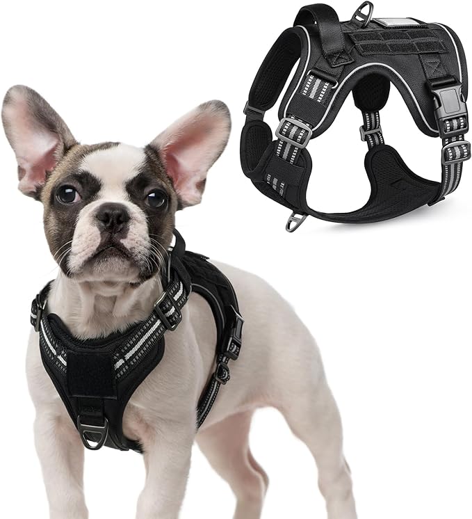 rabbitgoo Tactical Dog Harness for Small Dogs, No Pull Military Service Vest with Handle & Molle, Easy Control for Training Walking, Adjustable Reflective Straps, Black, S-Mewly Pet