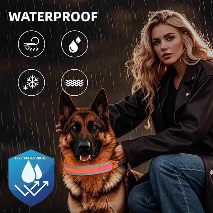 PetIsay LED Dog Collar Metal Buckle - Heavy Duty Light up Collars - Rechargeable IP68 Waterproof - Lighted Dog Collar for Night Walking, Hiking, Camping (Large, Orange)-Mewly Pet