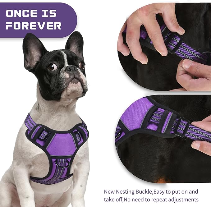 BUMBIN Dog Harness for Large Dogs, No Pull Adjustable No Choke Pet Vest with Dog Leash Fit Smart Reflective Pet Walking Harness for Training Easy Control Soft Handle Purple S-Mewly Pet