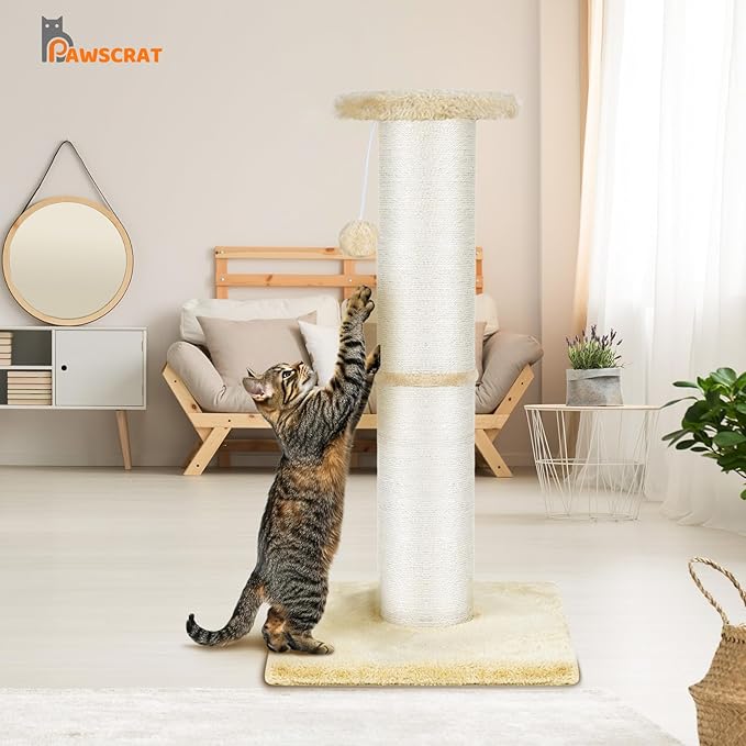 PAWSCRAT Cat Scratching Post 32" Tall, Large Diameter Natural Sisal Cat Scratch Post with Dangling Ball, Scratch-Resistant and Durable Tall Cat Scratcher for Indoor Cats, Protect Your Furniture, Beige-Mewly Pet