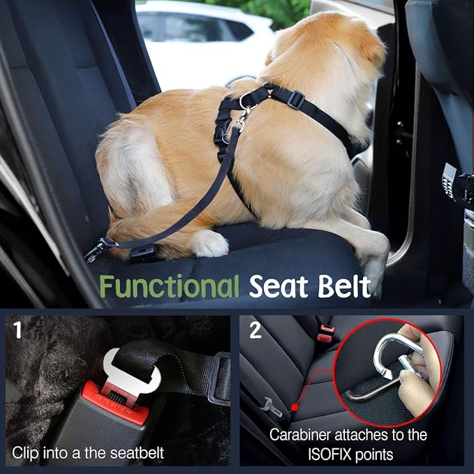 Dog Seat Belt, Safety Vest Dog Car Harness with Adjustable Buckle Dog Seat Belt for Vehicle Nylon Pet Safety Seat Belts Heavy Duty(XL, Purple)-Mewly Pet