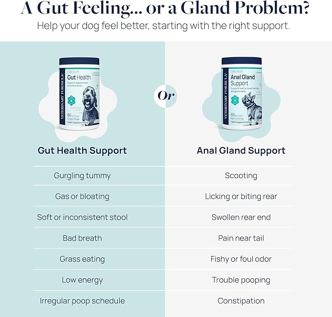 Veterinary Formula Gut Health Supplement for Dogs – Vet-Formulated Probiotic Chews with Digestive Enzymes & Fiber – Smart Vitality Supports Digestive Health, Gut Balance & Stool Quality, 60 Soft Chews-Mewly Pet