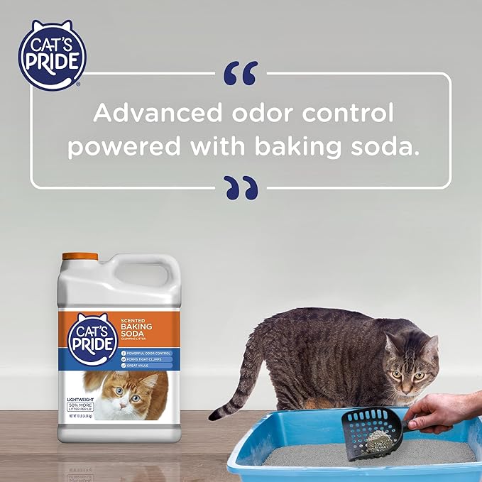 Cat's Pride Lightweight Clumping Litter: Baking Soda - Powerful Odor Control - Scented, 10 Pounds-Mewly Pet
