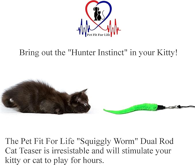 Pet Fit For Life Cat Wand Toy: 5-Piece Worm Teaser & Exerciser - Durable Flirt Pole/Cat Teaser Toy – Interactive Fun for Feline Fitness-Mewly Pet