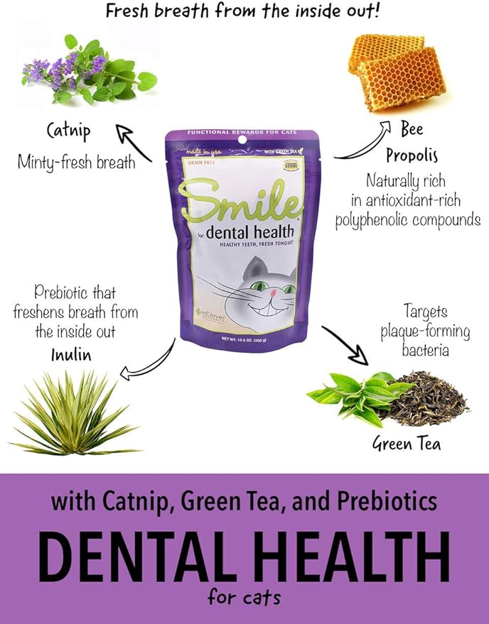 Smile Daily Dental Health Soft Chews for Cats, Support Healthy Teeth and Fresh Tongue with Catnip and Green Tea, Prebiotics, and Chlorophyll for Fresh Breath, 10.5 oz-Mewly Pet