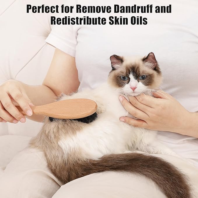 Boar Bristle Cat Brush with Wooden Handle, Soft and Gentle, Reduce Shedding, Make Coat Soft, Smooth and Shinny, Daily Grooming Tool for Short Haired Cats, Kitten-Mewly Pet