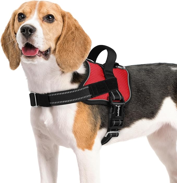 rabbitgoo Dog Harness Medium Sized, Easy On Pet Vest with One Buckle, No Pull Adjustable Service Harness with D-Ring & Handle, Reflective for Safety Walking, Training, Red, M-Mewly Pet