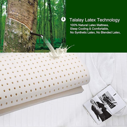 10 Inch Hybrid Mattress in a Box, Twin XL Size Latex Mattress with Memory Foam & Individually Pocket Coils Springs, Pressure Relief, Motion Isolation, Edge Support, CertiPUR-US Certified, Medium Firm