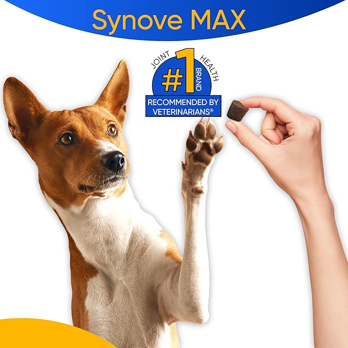 Synove Max Soft Chews for Dogs (240 Count) Beef Flavor, Joint Supplement, Glucosamine, Turmeric, Boswelllia serrata, Creatine Naturally Derived Ingredients better than synovi g4 soft chew-Mewly Pet