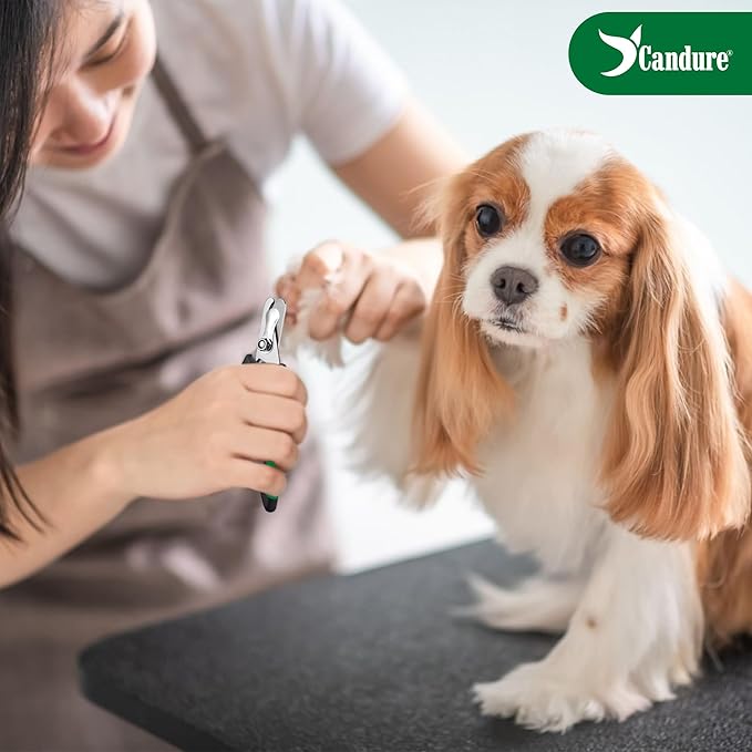 Candure Dog Nail Clippers Professional Pet Nail Clipper Suitable for Cats, Rabbits and Guinea Pigs - Safety Lock/Protective Guard to Avoid Over Cutting (Green, Medium to Small)-Mewly Pet