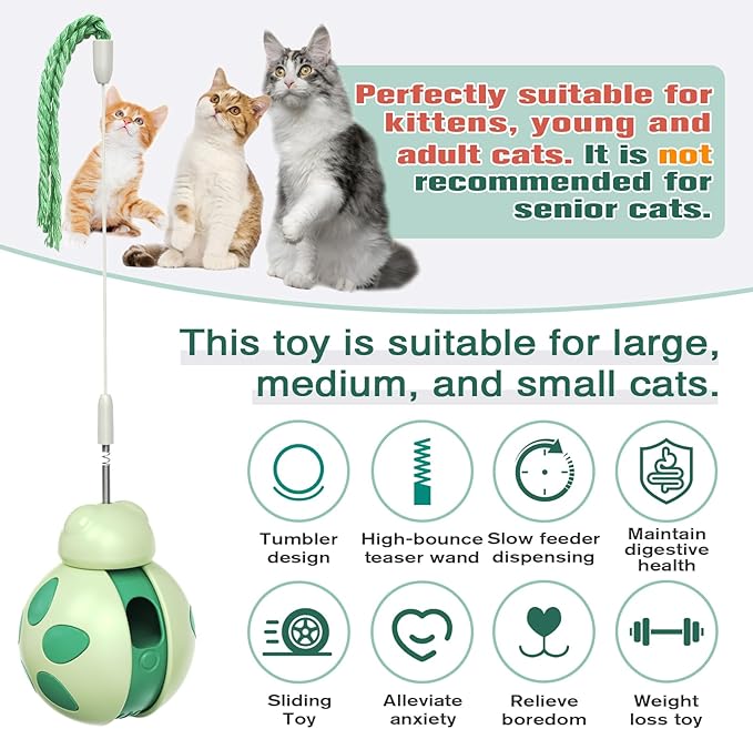 Cat Treat Interactive Toy, Indoor Puzzle Slow Feeding Mental Stimulation Sliding Rolling Cat Toy Ball with Cat Teaser, Cat Treat Dispenser Toy for Large, Medium and Small Cats (Green, ladybug)-Mewly Pet
