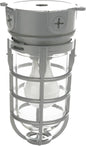 Woods L1706 Vandal Resistant Security Light With Ceiling Mount (150W Incandescent Bulb; Silver)