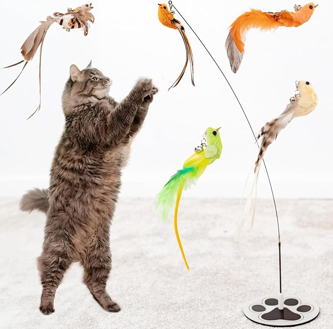 Interactive Bird Simulation Cat Toy Set for Bored Indoor Adult Cats Feather Toy Wand 5 Pcs Natural Bird Feathers Stable Round Base Wand Cat Toys for Indoor Cats Hunting Toys-Mewly Pet