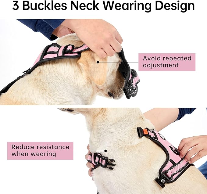 IVY&LANE No Pull Dog Harness for Medium Dogs, Dog Vest Harness with Leash, Safety Belt and Storage Strap, Fully Adjustable Harness, 360° Reflective Strip, Soft Handle (Pink, M)-Mewly Pet