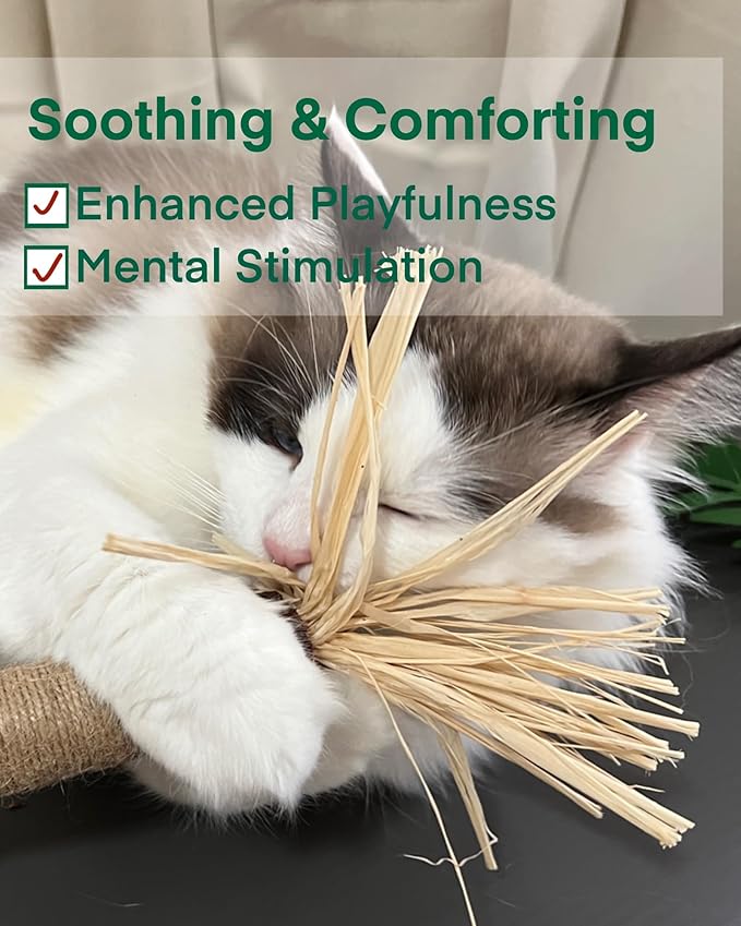 14.96 Inches Huge Silvervine Sticks Cat Toys, Large Natural Catnip Kittens Chew Toy for Teeth Cleaning,Big Catmint Blend Stick, Dental Kitty Chews for Indoor(2 Pack)-Mewly Pet