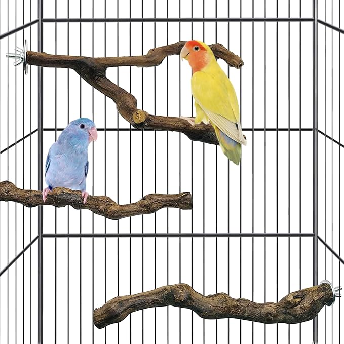 kathson 3pcs Natural Parrot Perch for Cage Wooden Bird Perches Grape Bird Stick Parakeet Climbing Standing Branches Toy Chewable Cage Accessories for Small Budgies Cockatiels Lovebirds Budgies-Mewly Pet