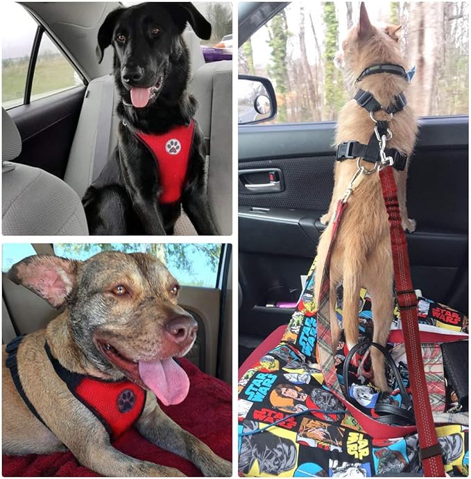 SlowTon Dog Seat Belt Harness for Car, Dog Car Harness Adjustable Mesh Breathable & Dog Seatbelt Safety Tether with Elastic Bungee for Small Medium Large Pets(Red Seatbelt, Single Clip, XXXS)-Mewly Pet