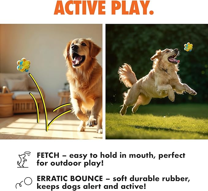 Max Fusion with Nike Grind, Arlee Pop It Dog Toy, Chew Toy for Play, Fetch, Tug, S-Mewly Pet