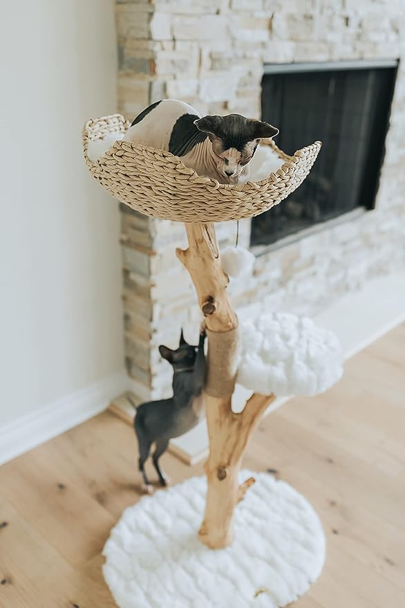 Wooden Cat Climbing Tree Tower, Modern Single Branch Cat Condo, Wood, Cat Lover Furniture Gift by MAU LIFESTYLE (Alpine White)-Mewly Pet